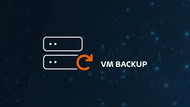 Hornetsecurity VM Backup Maroc