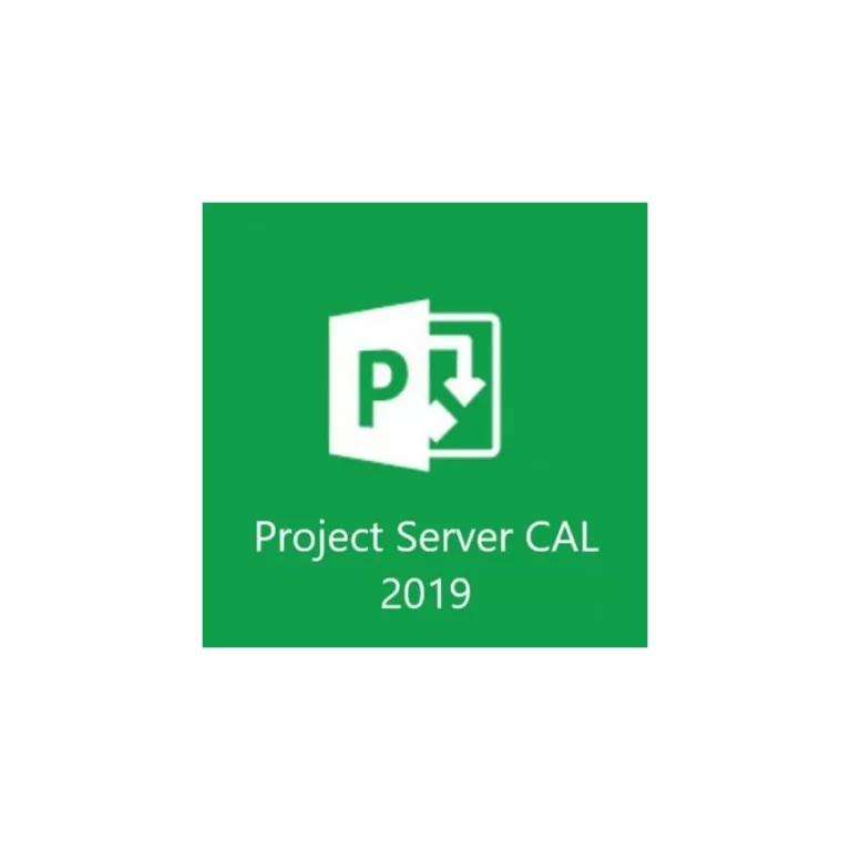 Microsoft Project Server 2019 Maroc