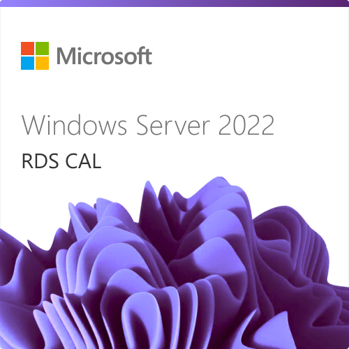 Microsoft Windows Server 2022 Remote Desktop Services - 1 User CAL Maroc