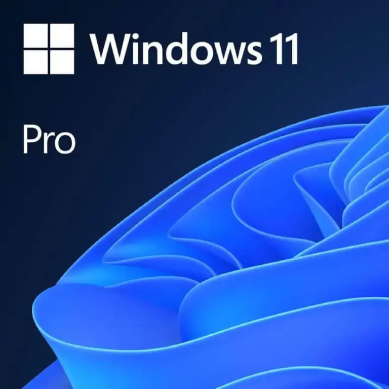 Windows 11 Pro Commercial Perpetual Maroc